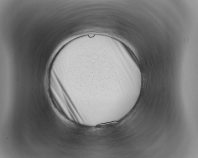 X0000111191531200907291153