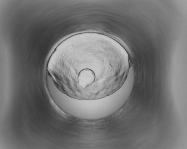X0000111191532200907291153