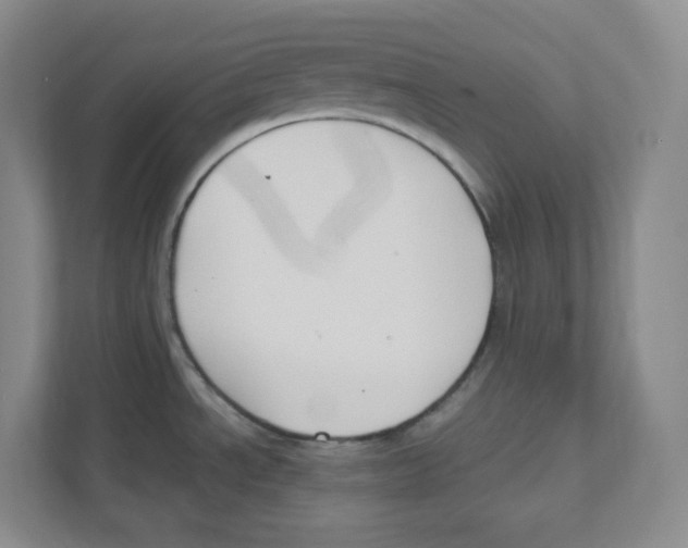 X0000111191534200907291153