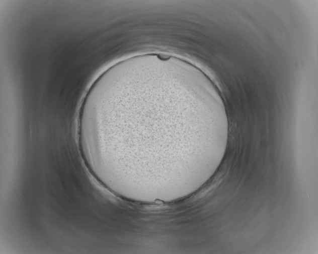 X0000111191535200907291153
