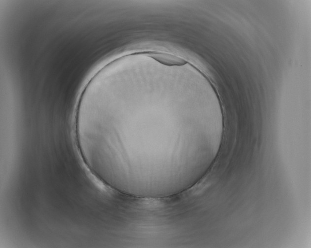 X0000111191536200907291153