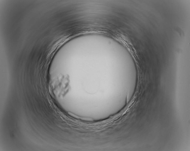 X0000111190001200908121058