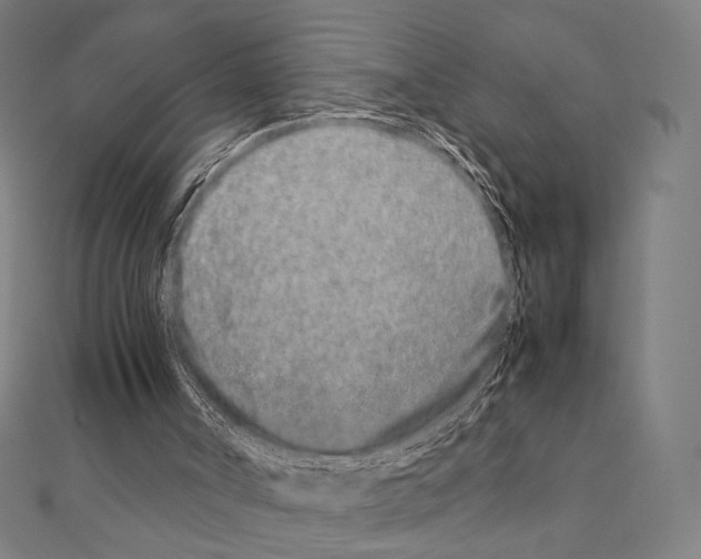 X0000111190002200908121058
