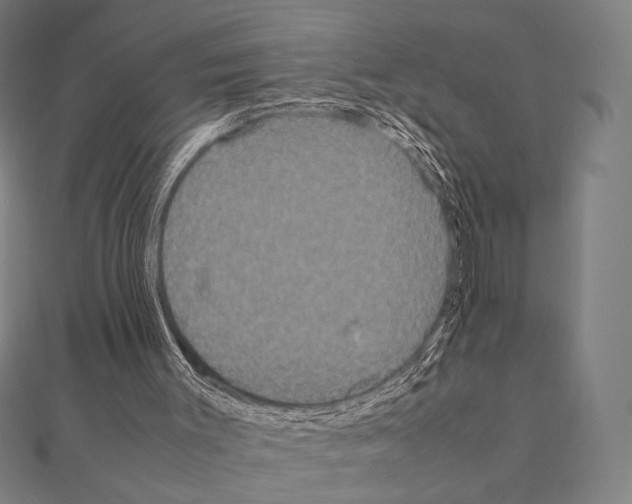 X0000111190003200908121058