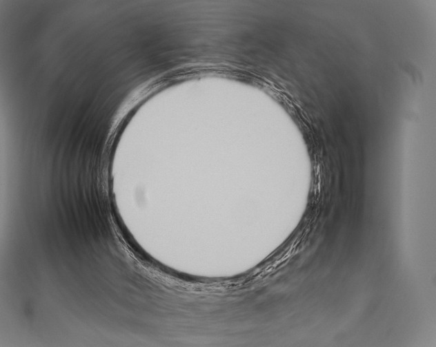 X0000111190004200908121058