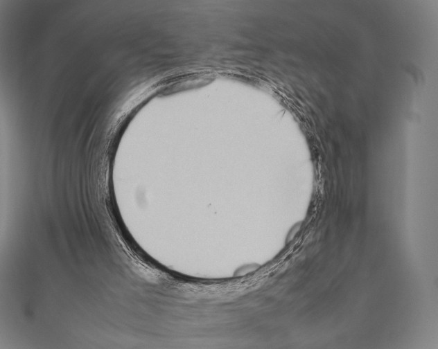X0000111190005200908121058