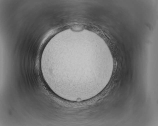 X0000111190006200908121058