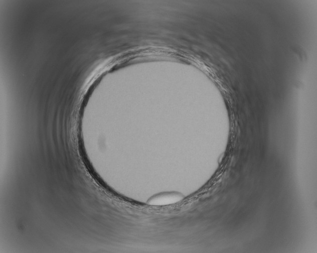 X0000111190007200908121058