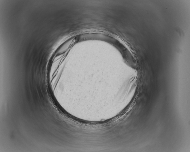 X0000111190008200908121058