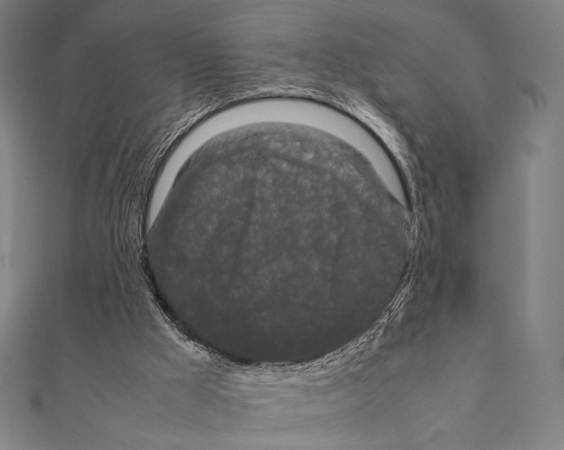 X0000111190009200908121058