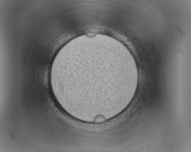 X0000111190010200908121058