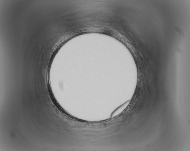 X0000111190011200908121058