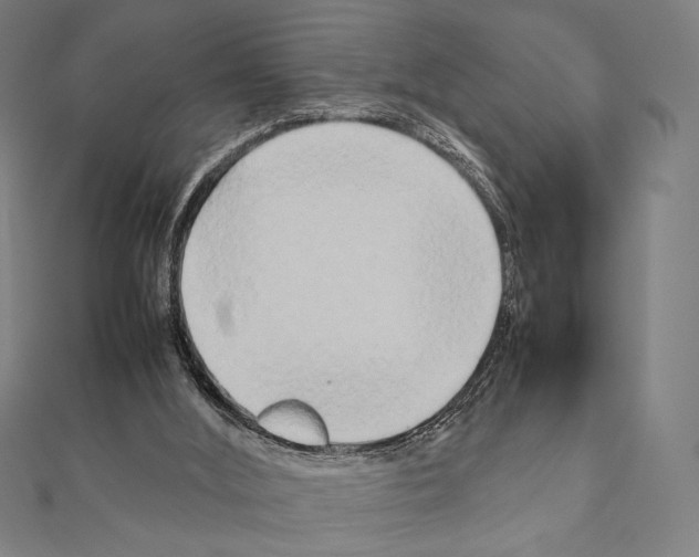 X0000111190012200908121058
