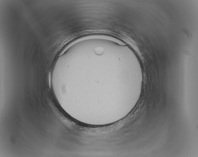 X0000111190013200908121058