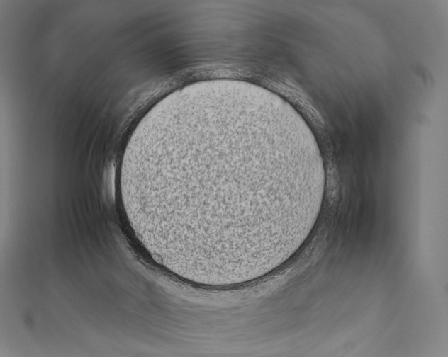 X0000111190014200908121058