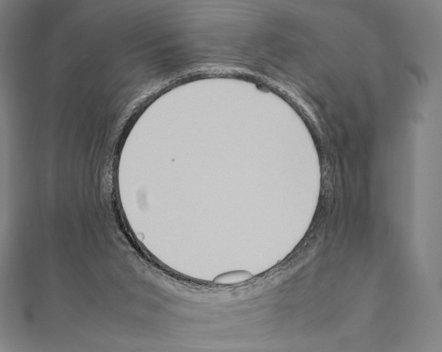 X0000111190015200908121058