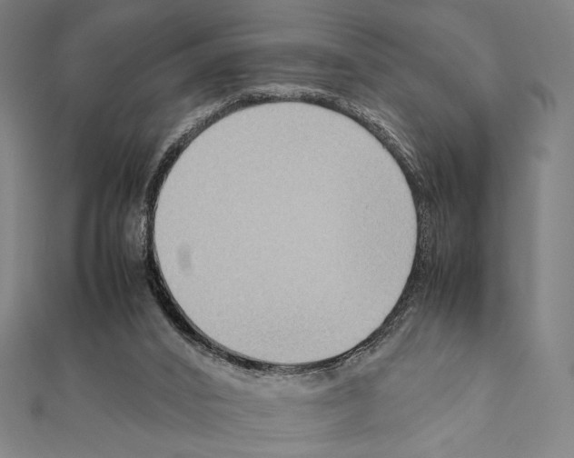 X0000111190016200908121058