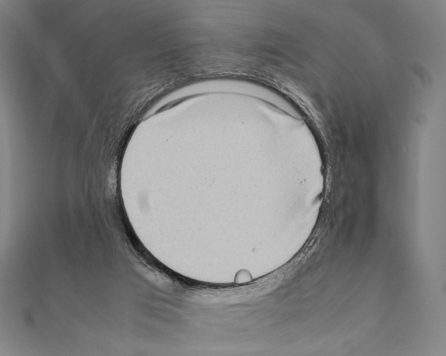 X0000111190017200908121058