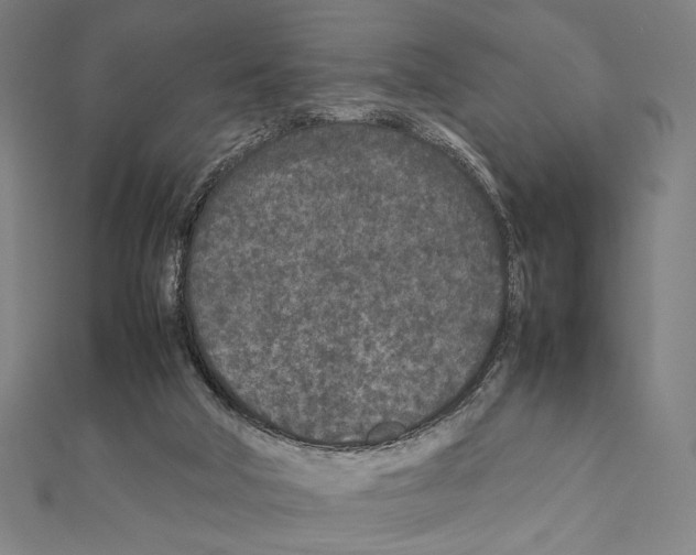 X0000111190018200908121057