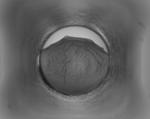 X0000111190019200908121057
