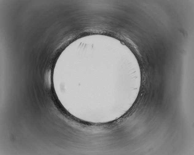 X0000111190020200908121057