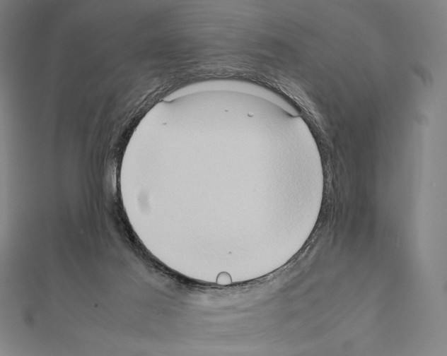 X0000111190021200908121057