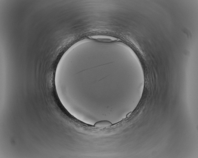 X0000111190023200908121057