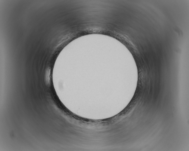 X0000111190024200908121057