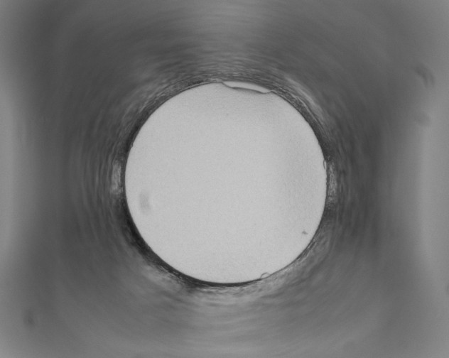 X0000111190025200908121057