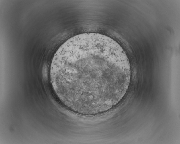 X0000111190026200908121057
