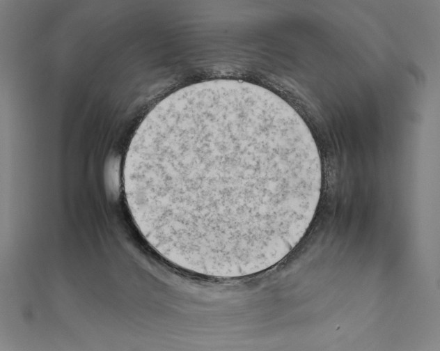 X0000111190028200908121057