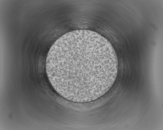 X0000111190030200908121057