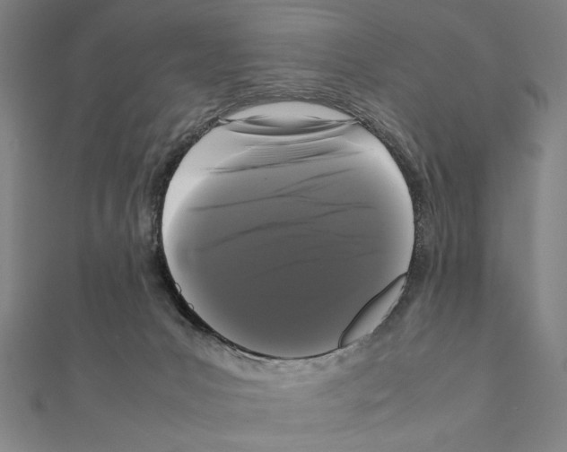 X0000111190031200908121057