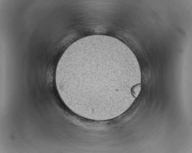 X0000111190032200908121057