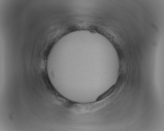 X0000111190033200908121057