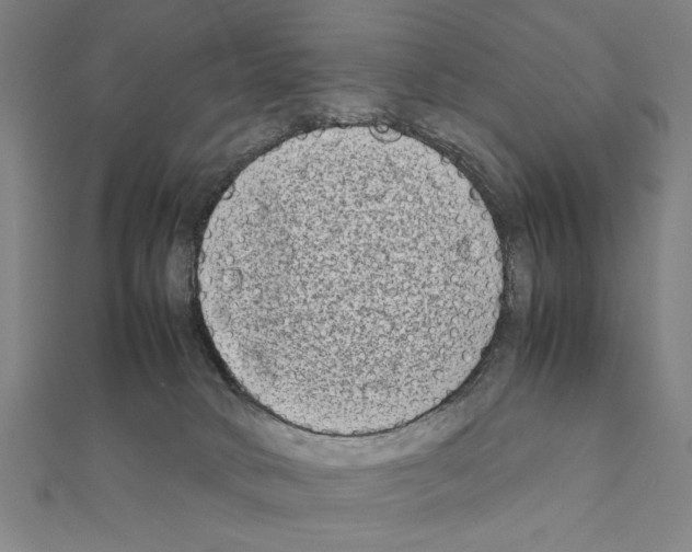 X0000111190034200908121057