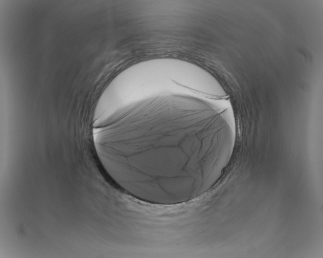 X0000111190035200908121057