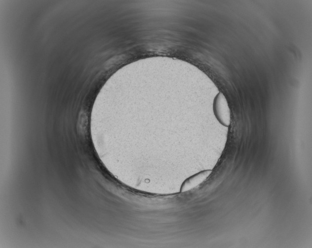 X0000111190036200908121057