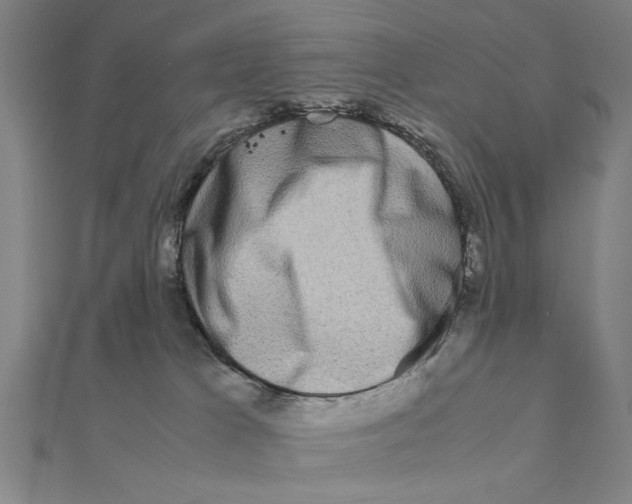 X0000111190037200908121057