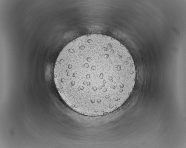 X0000111190038200908121057