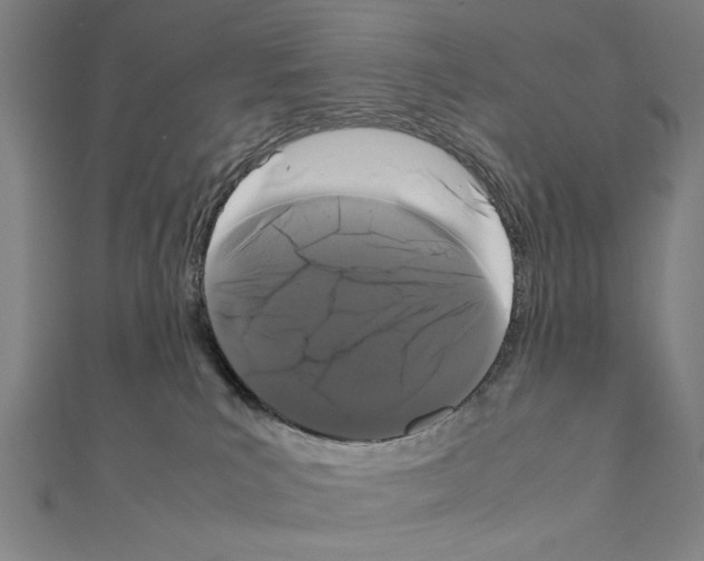 X0000111190039200908121057