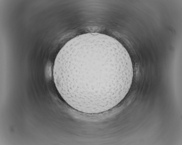 X0000111190042200908121057