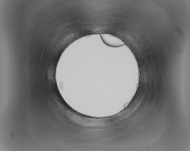 X0000111190044200908121057