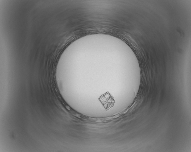 X0000111190045200908121057