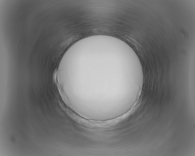 X0000111190047200908121057