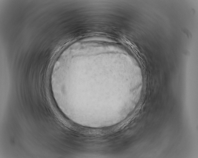 X0000111190049200908121056