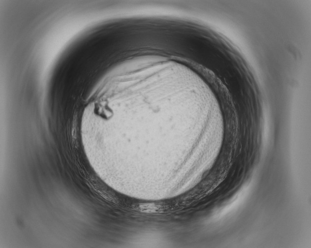 X0000111190050200908121057