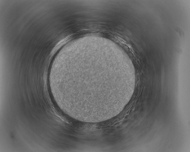 X0000111190051200908121057