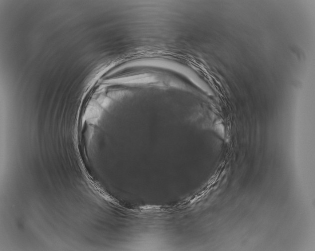 X0000111190052200908121057