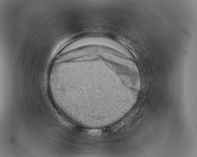 X0000111190053200908121057